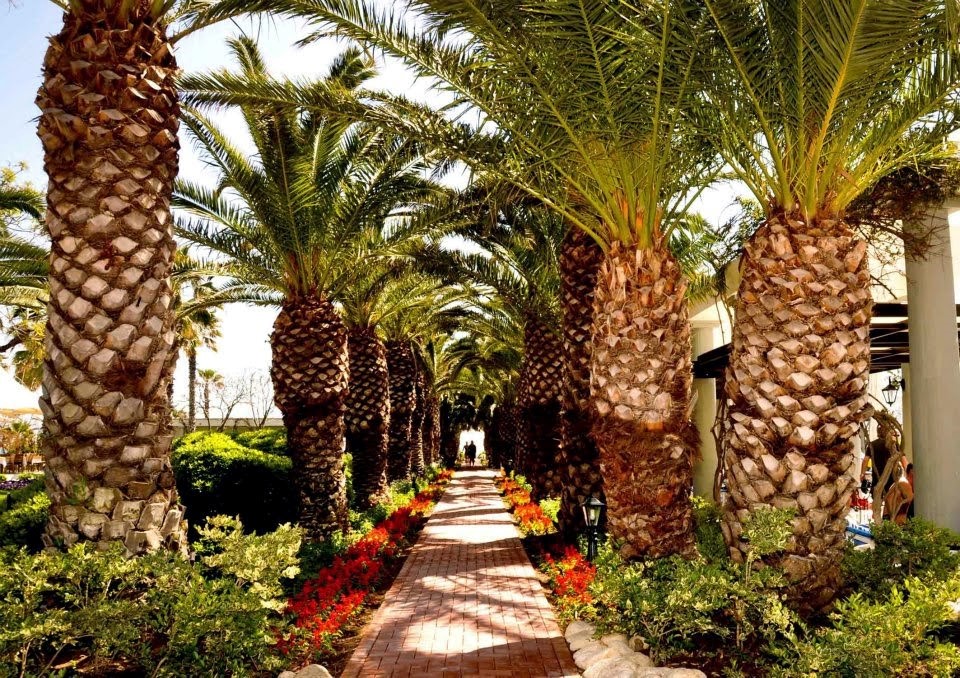 imagini hotel CLUB ASTERIA BELEK